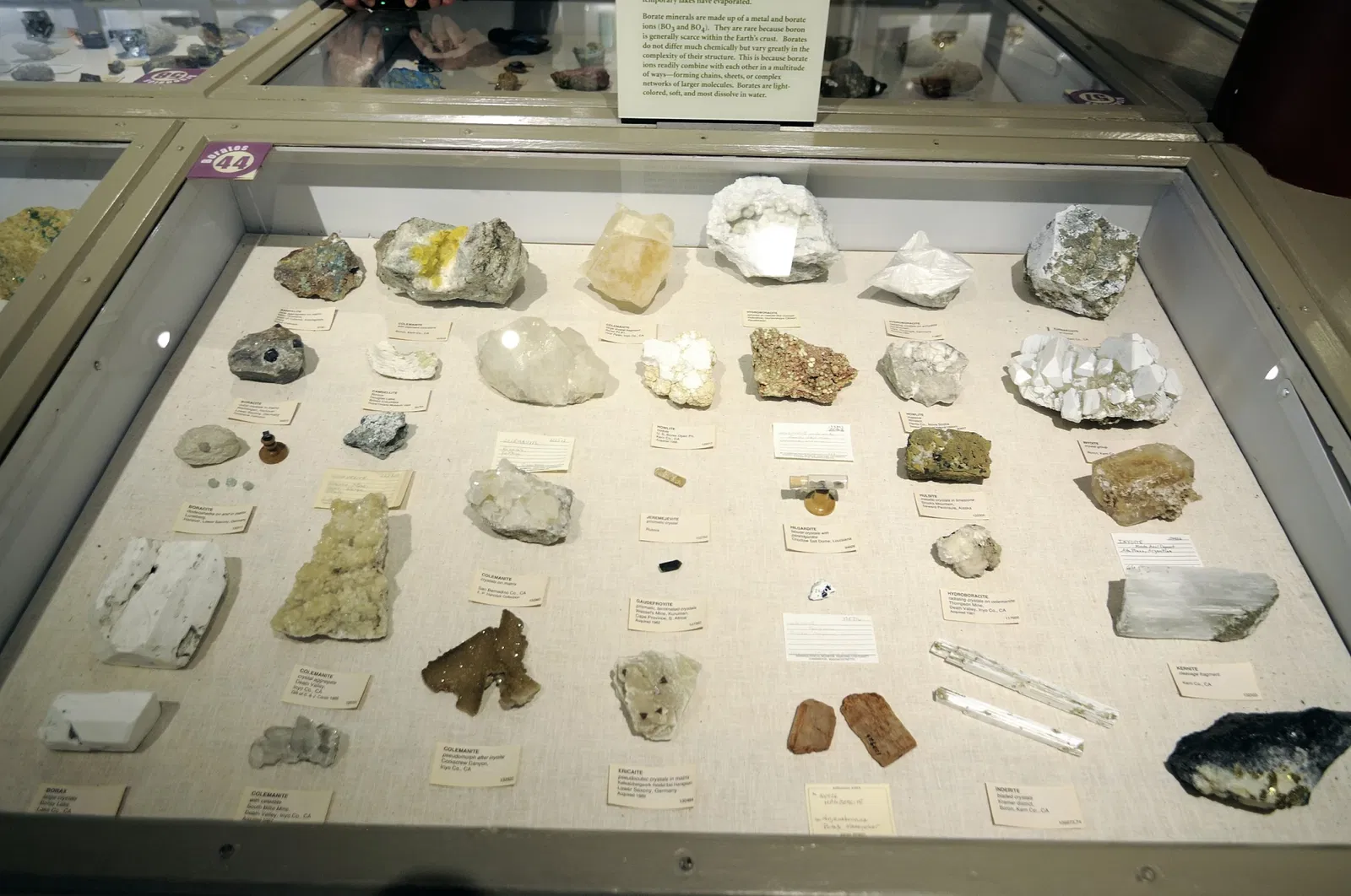 Harvard Museum of Natural History
