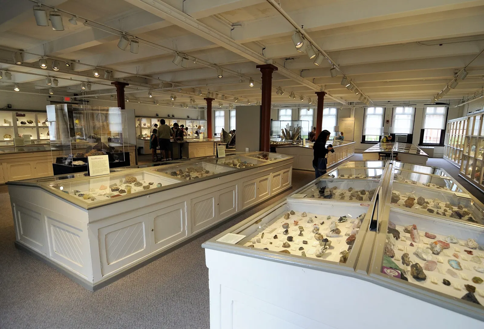 Museo de Historia Natural de Harvard