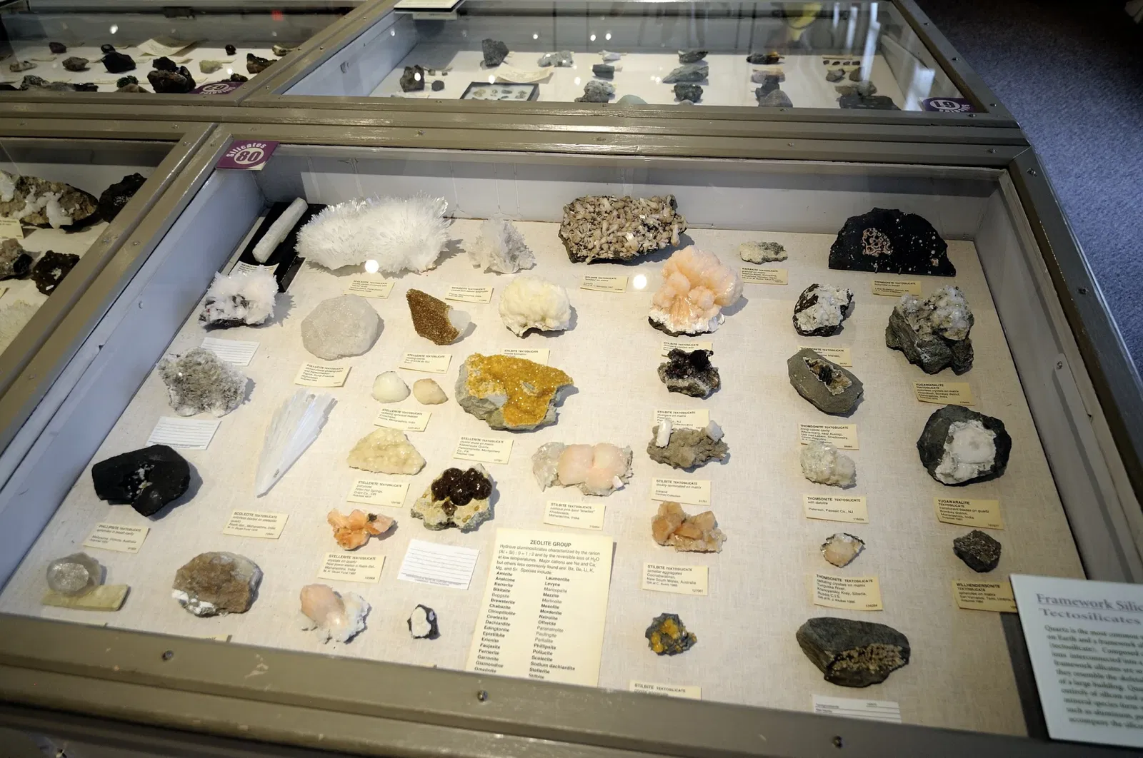 Harvard Museum of Natural History