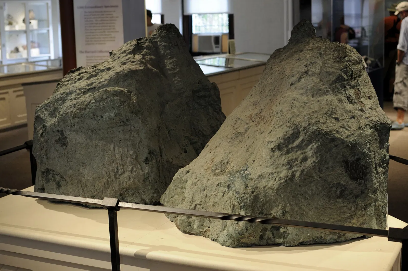 Harvard Museum of Natural History