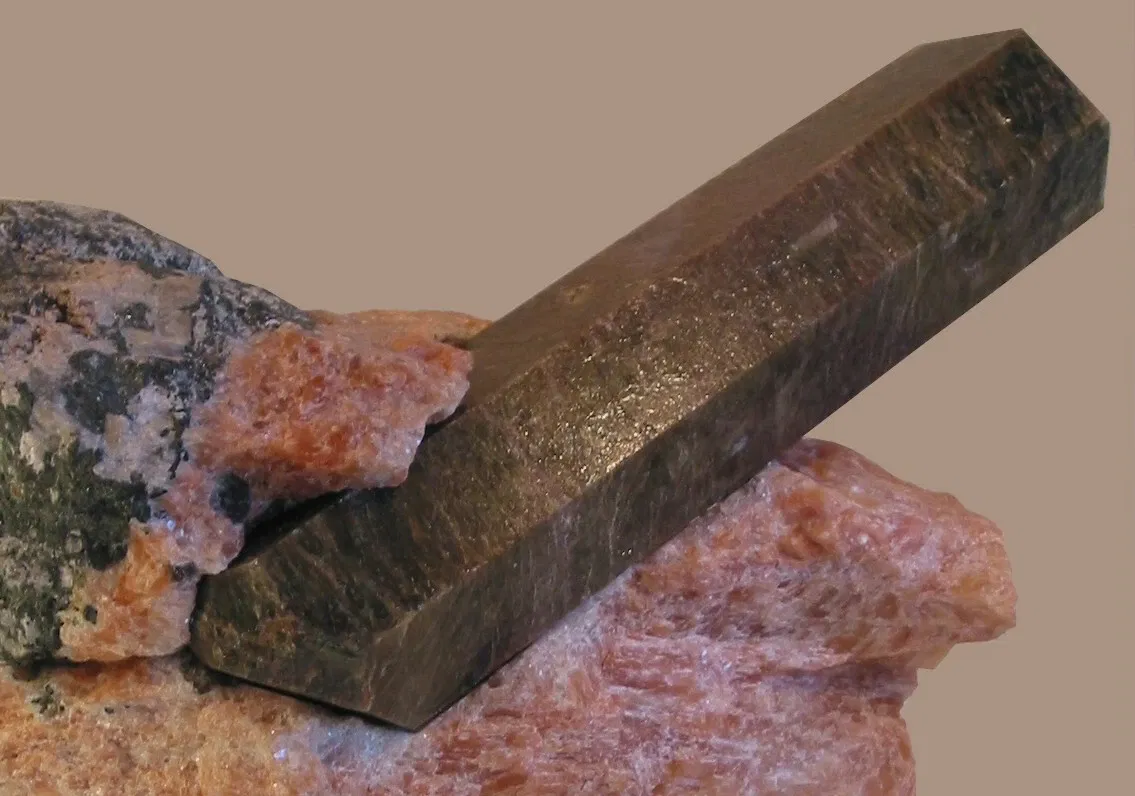 Harvard Museum of Natural History