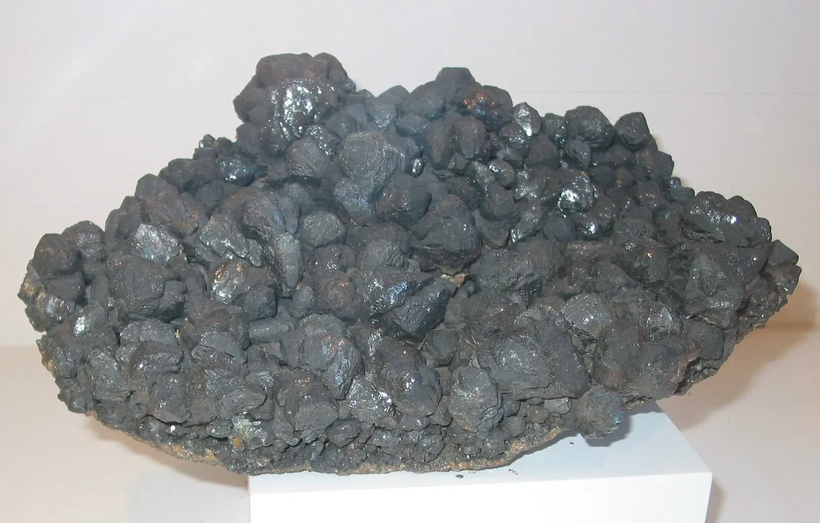 Museo de Historia Natural de Harvard