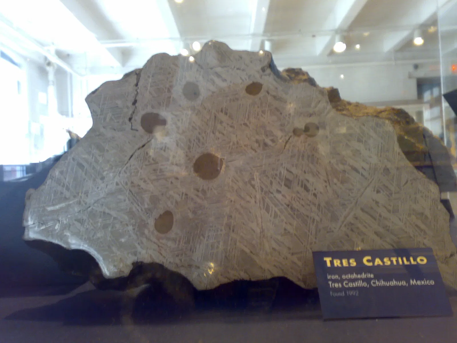 Harvard Museum of Natural History