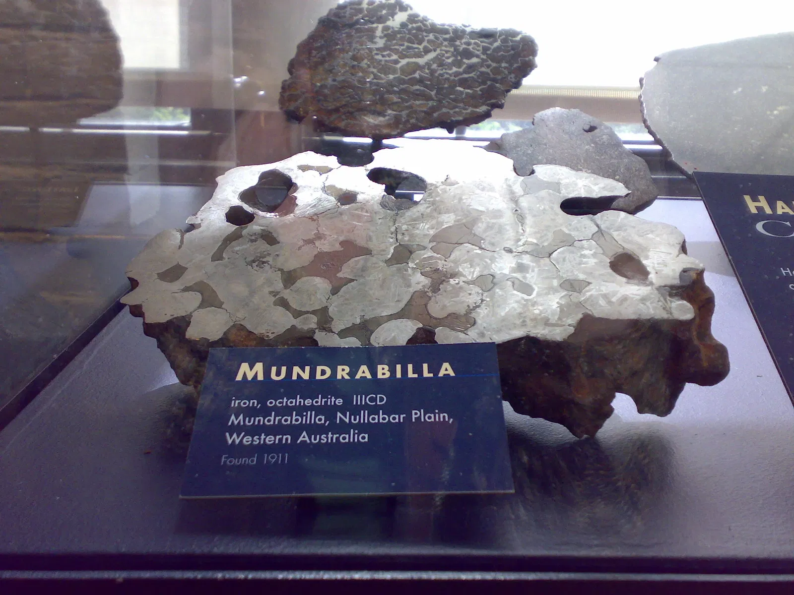 Harvard Museum of Natural History