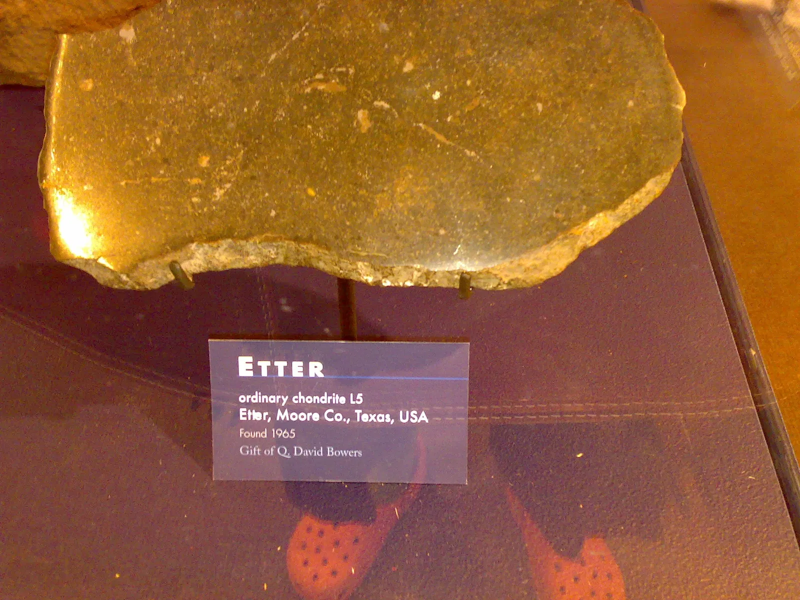 Museo de Historia Natural de Harvard