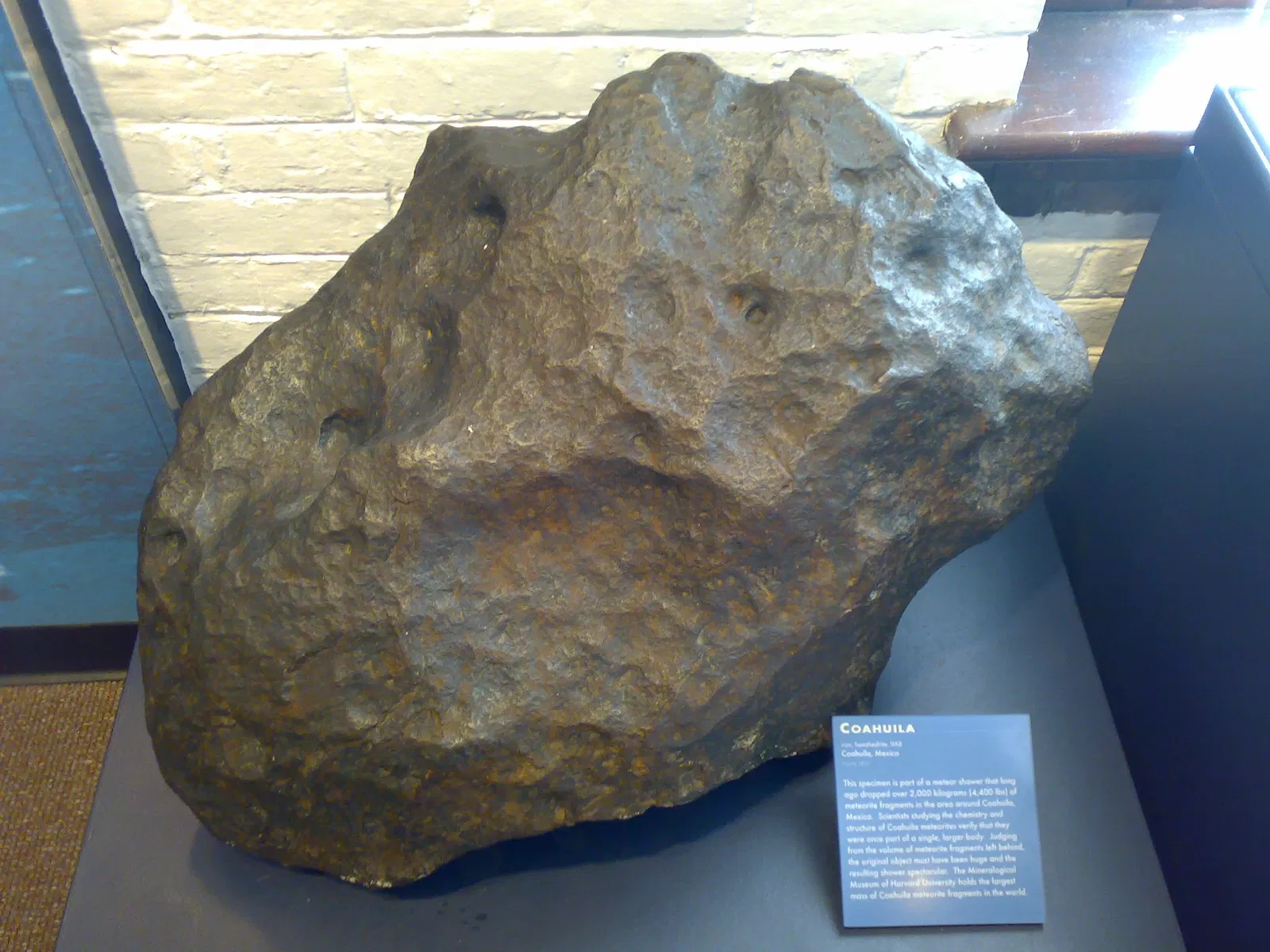 Museo de Historia Natural de Harvard