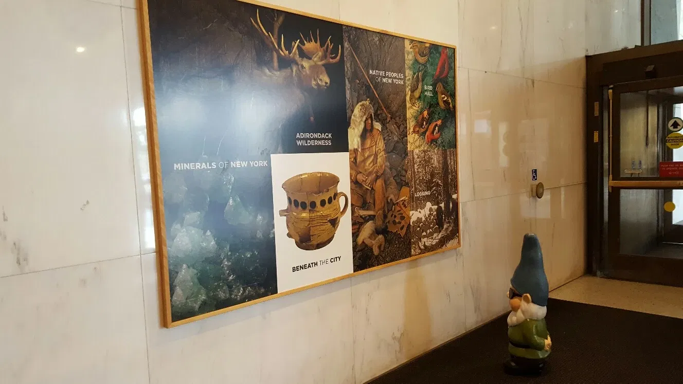 New York State Museum