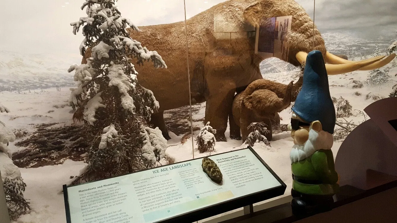 New York State Museum