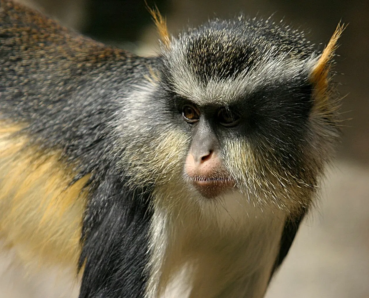 Omaha’s Henry Doorly Zoo