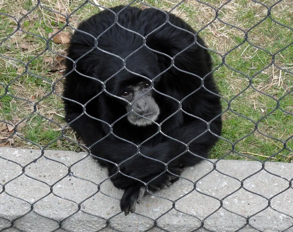 Omaha’s Henry Doorly Zoo