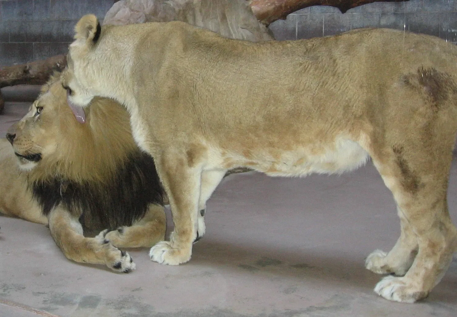 Henry Doorly Zoo and Aquarium