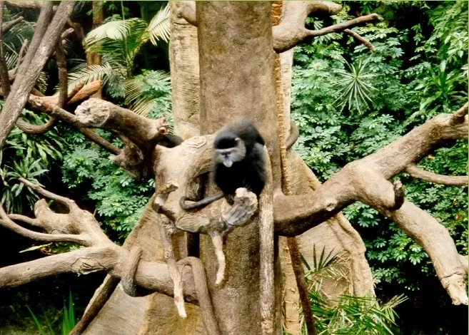 Henry Doorly Zoo and Aquarium