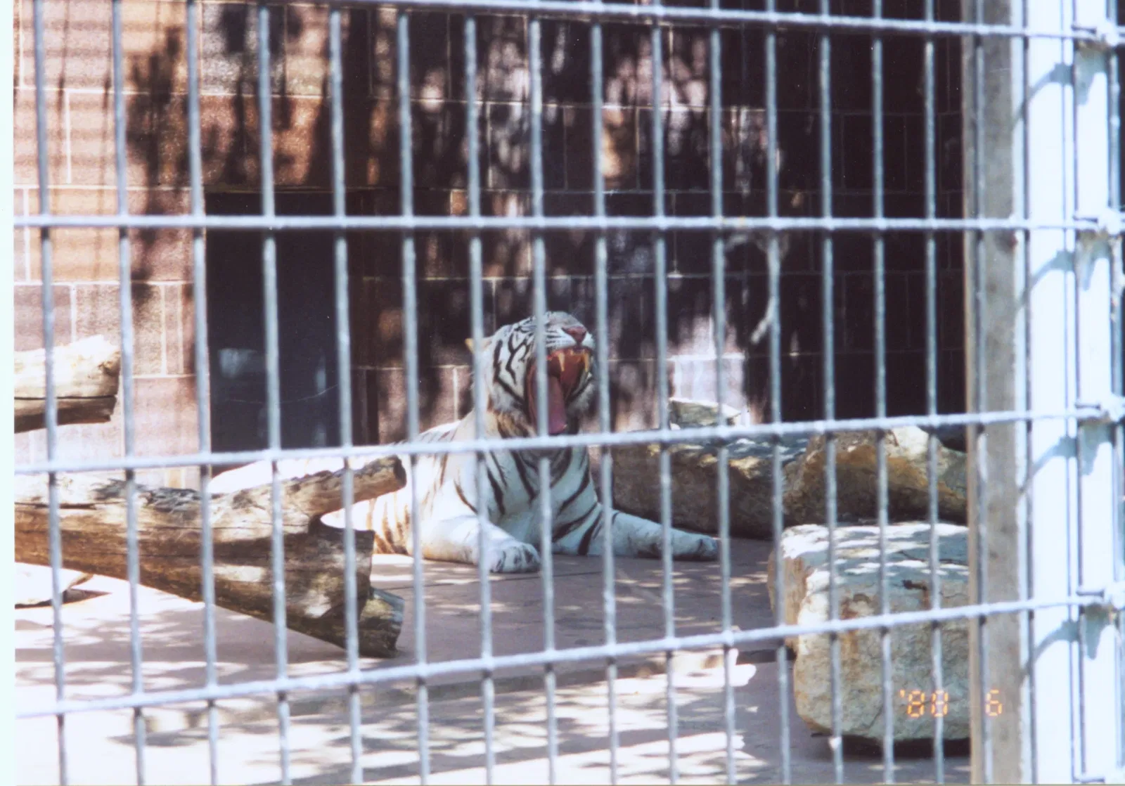 Henry Doorly Zoo and Aquarium