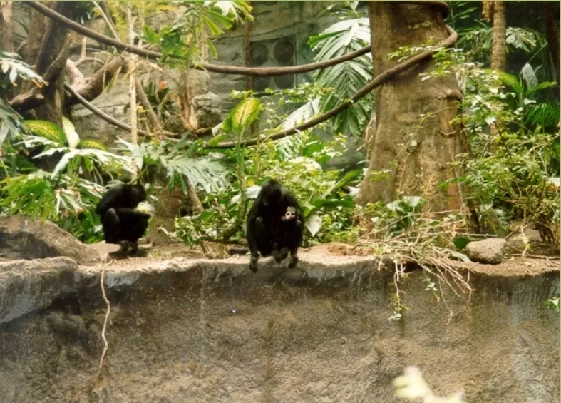 Omaha’s Henry Doorly Zoo