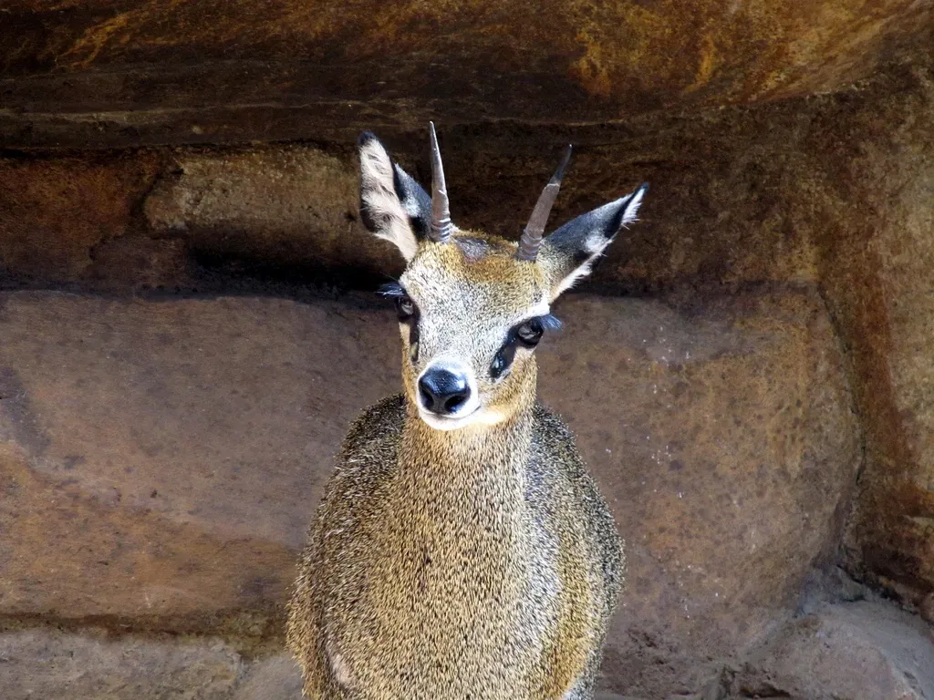 Henry Doorly Zoo and Aquarium