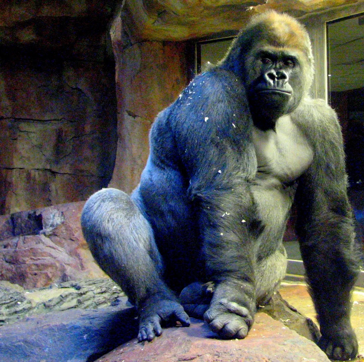 Omaha’s Henry Doorly Zoo