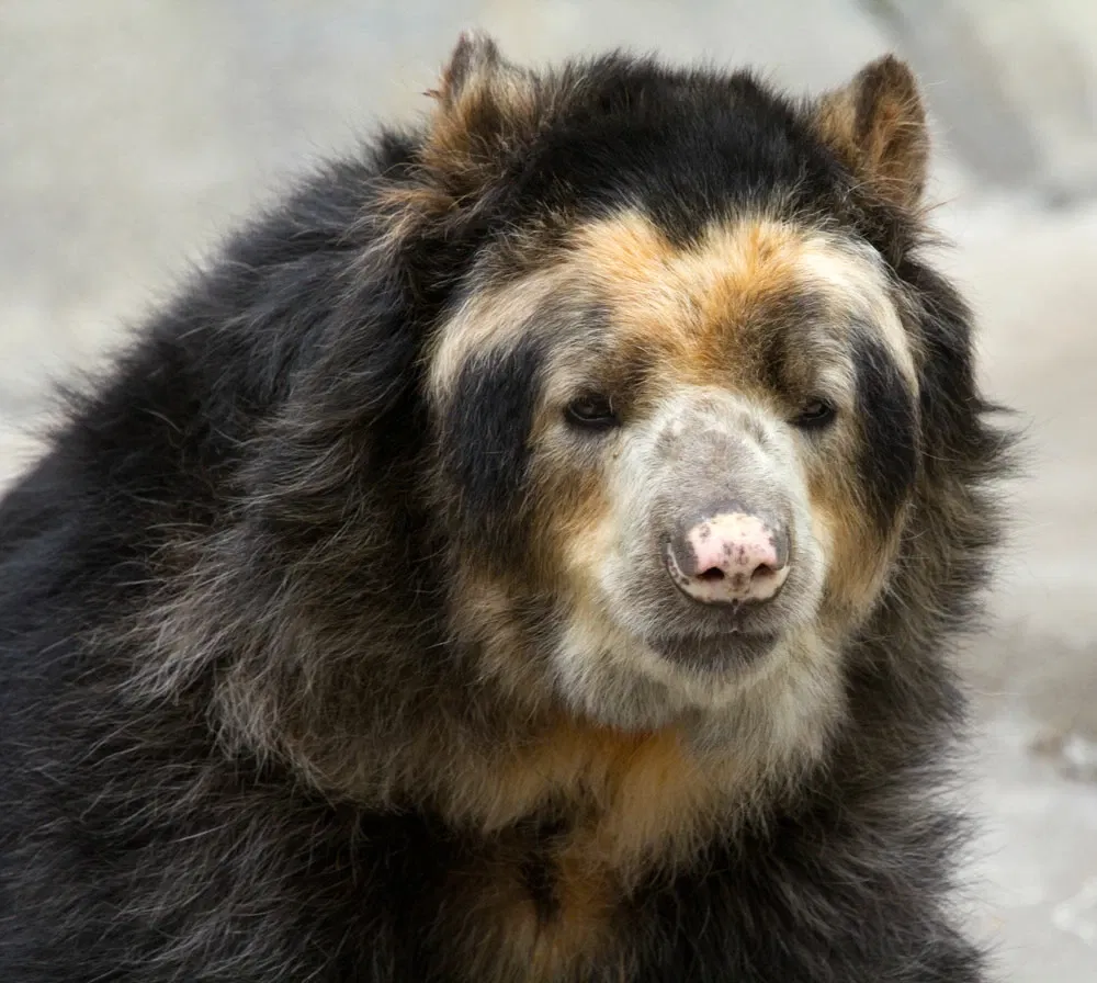 Henry Doorly Zoo and Aquarium