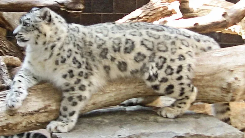 Omaha’s Henry Doorly Zoo