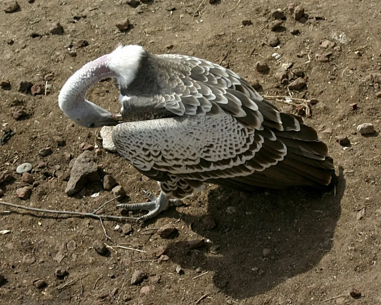 Henry Doorly Zoo and Aquarium