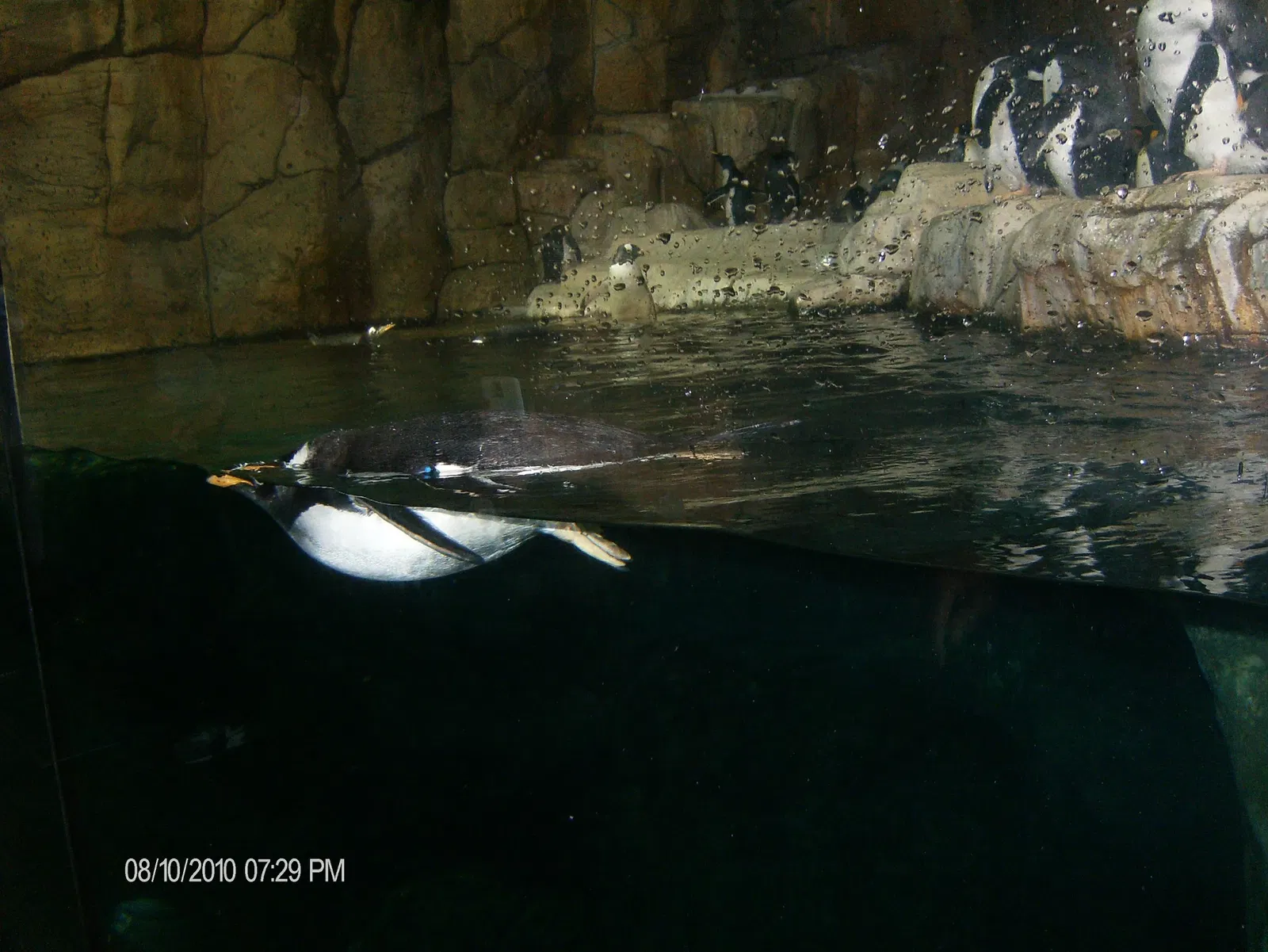 Omaha’s Henry Doorly Zoo