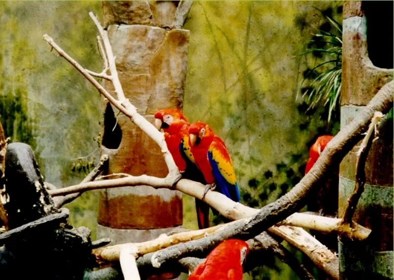 Omaha’s Henry Doorly Zoo