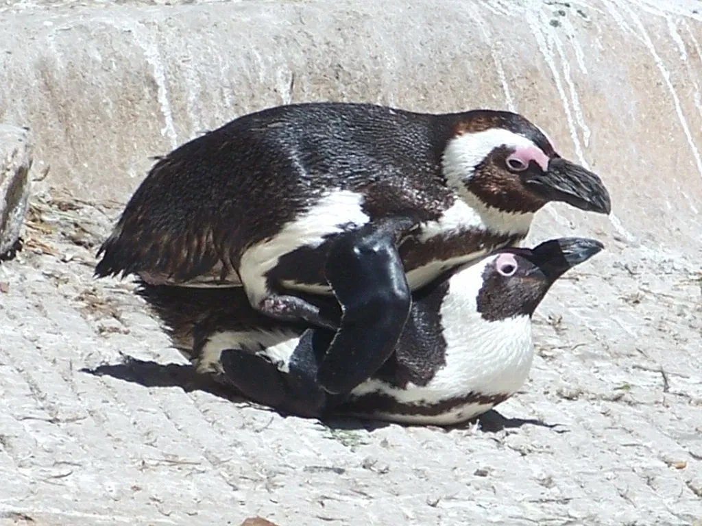 Henry Doorly Zoo and Aquarium