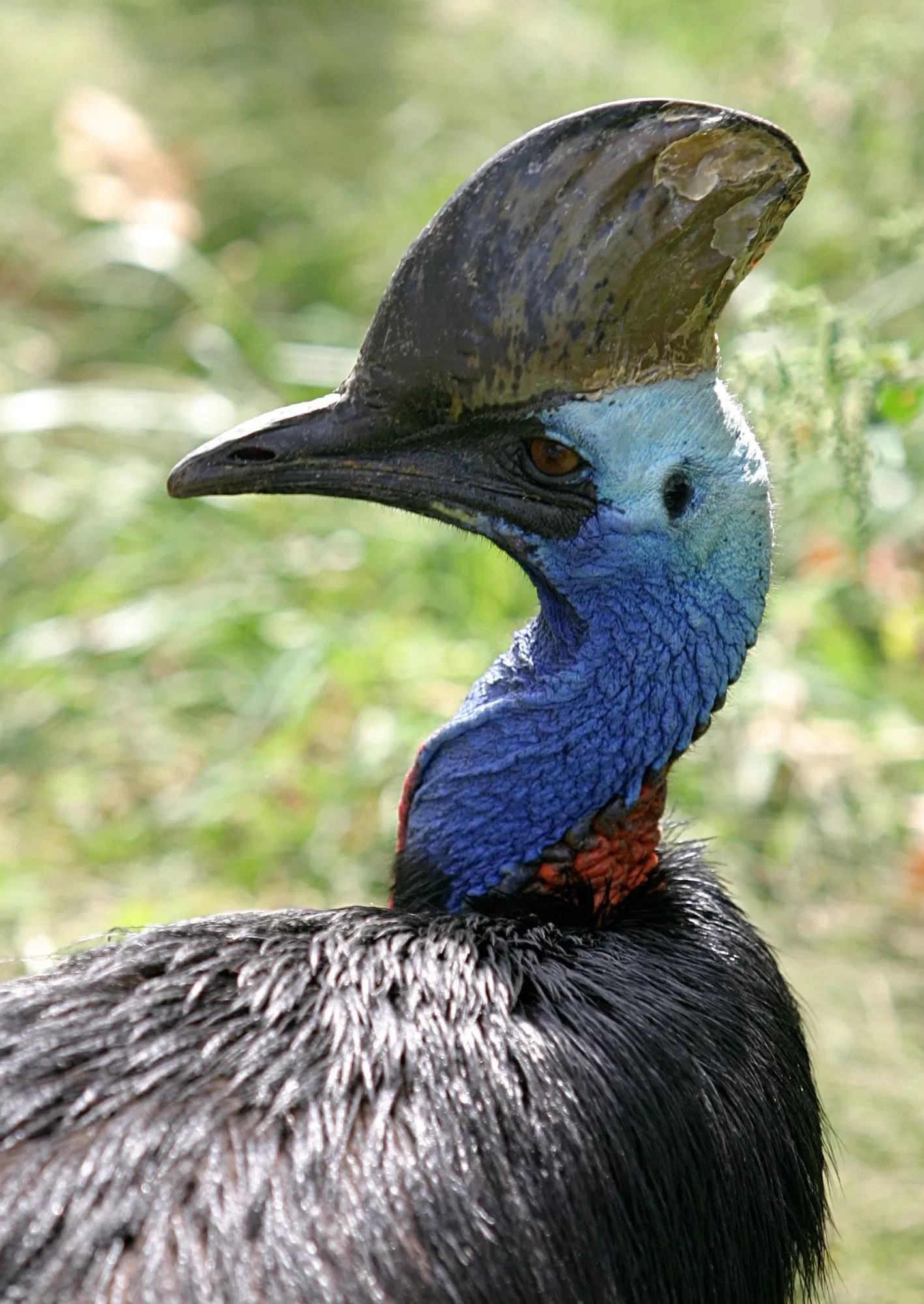 Henry Doorly Zoo and Aquarium