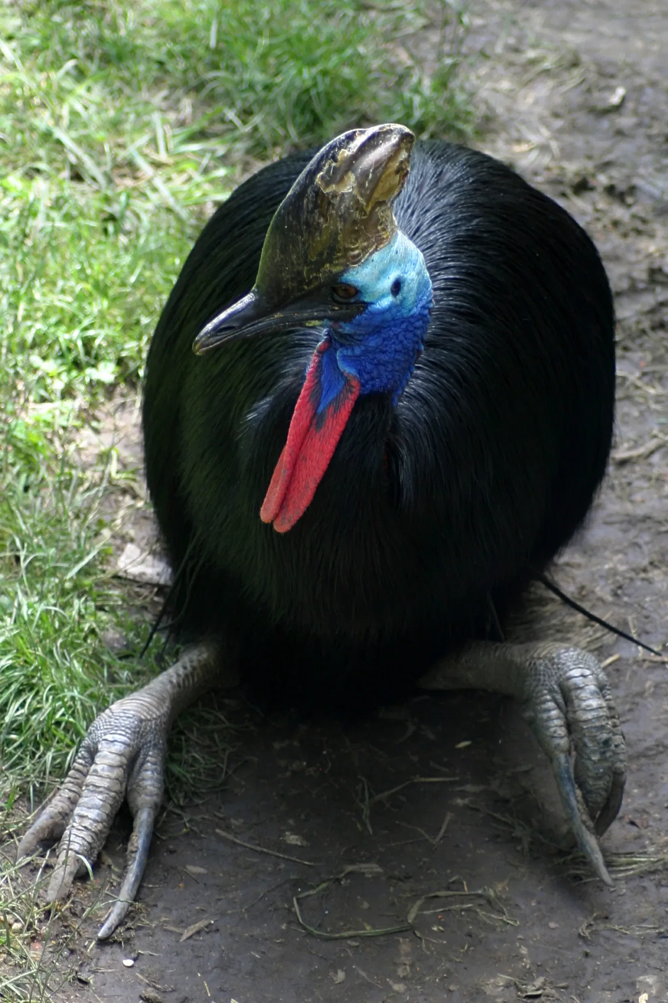 Omaha’s Henry Doorly Zoo