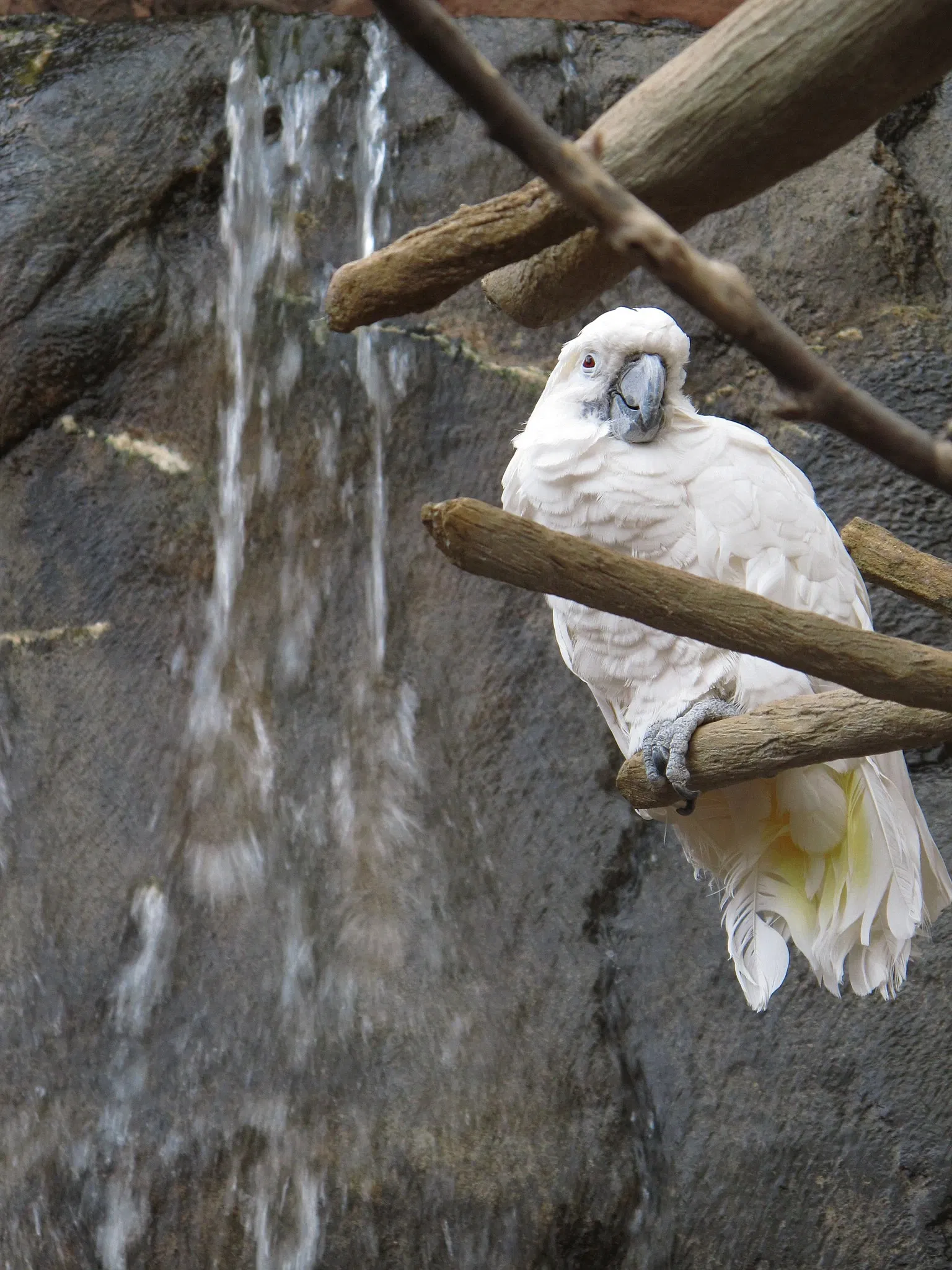 Henry Doorly Zoo and Aquarium