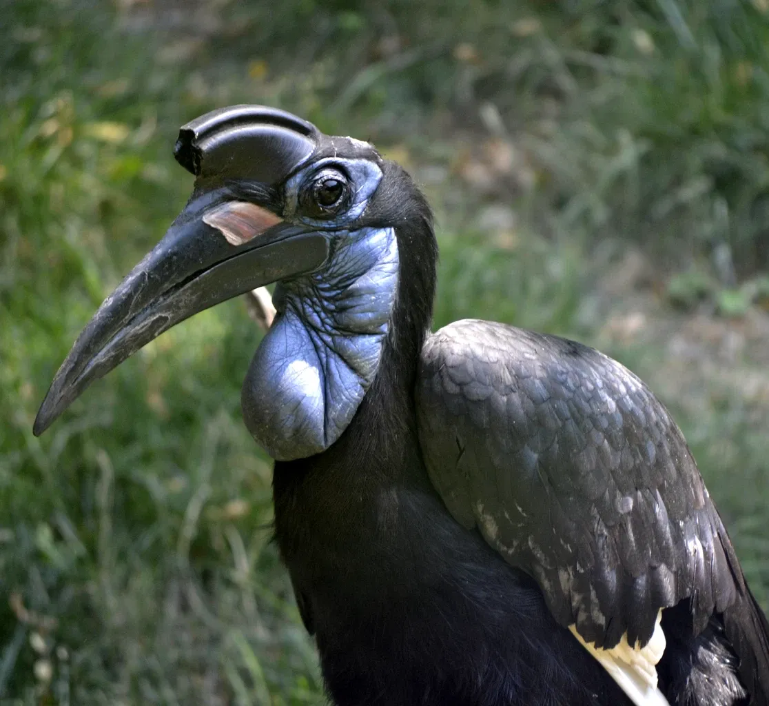 Omaha’s Henry Doorly Zoo