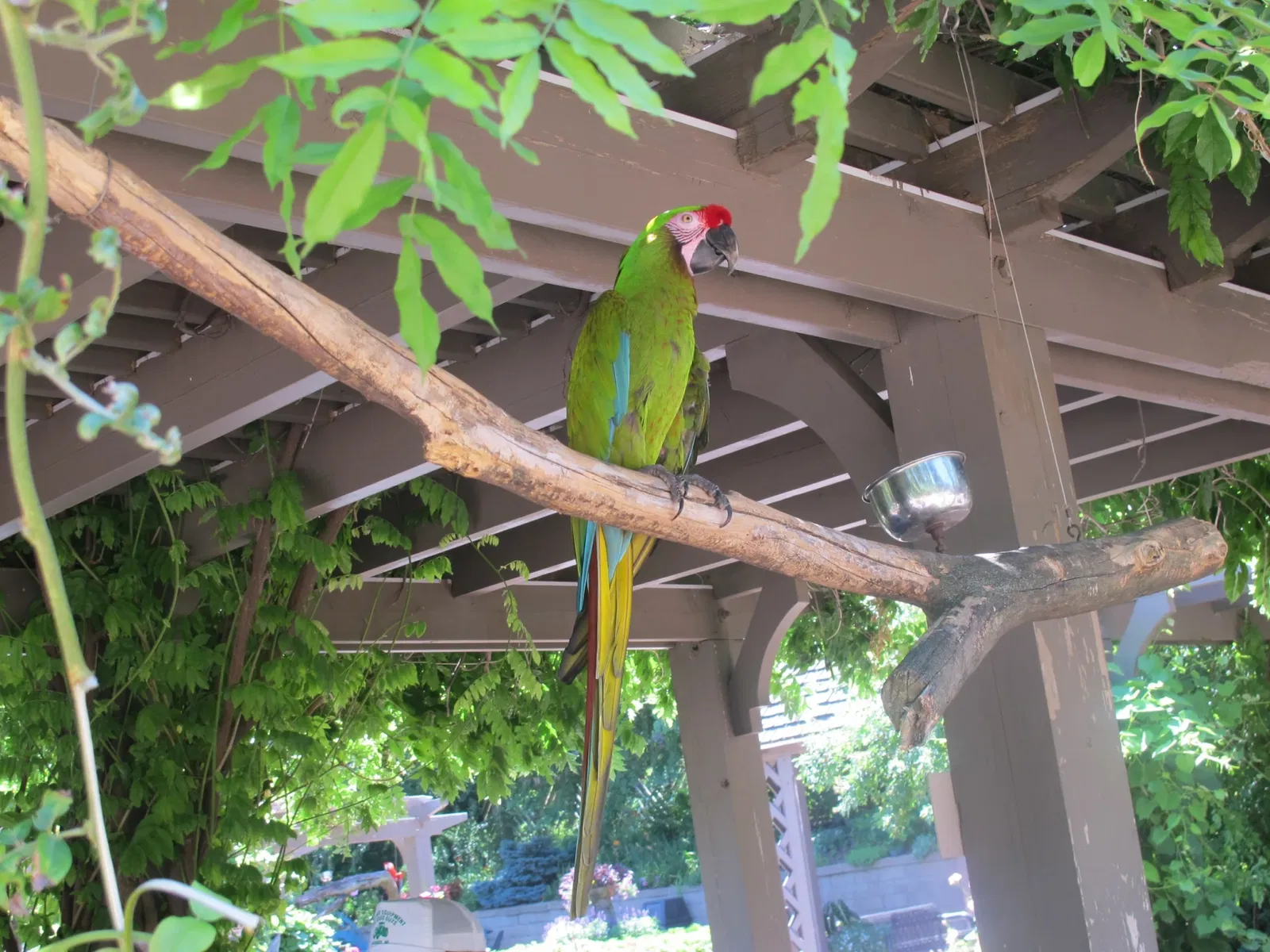 Henry Doorly Zoo and Aquarium