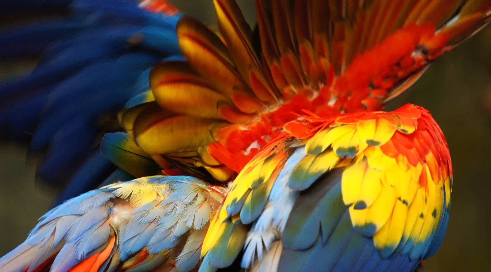 Henry Doorly Zoo and Aquarium