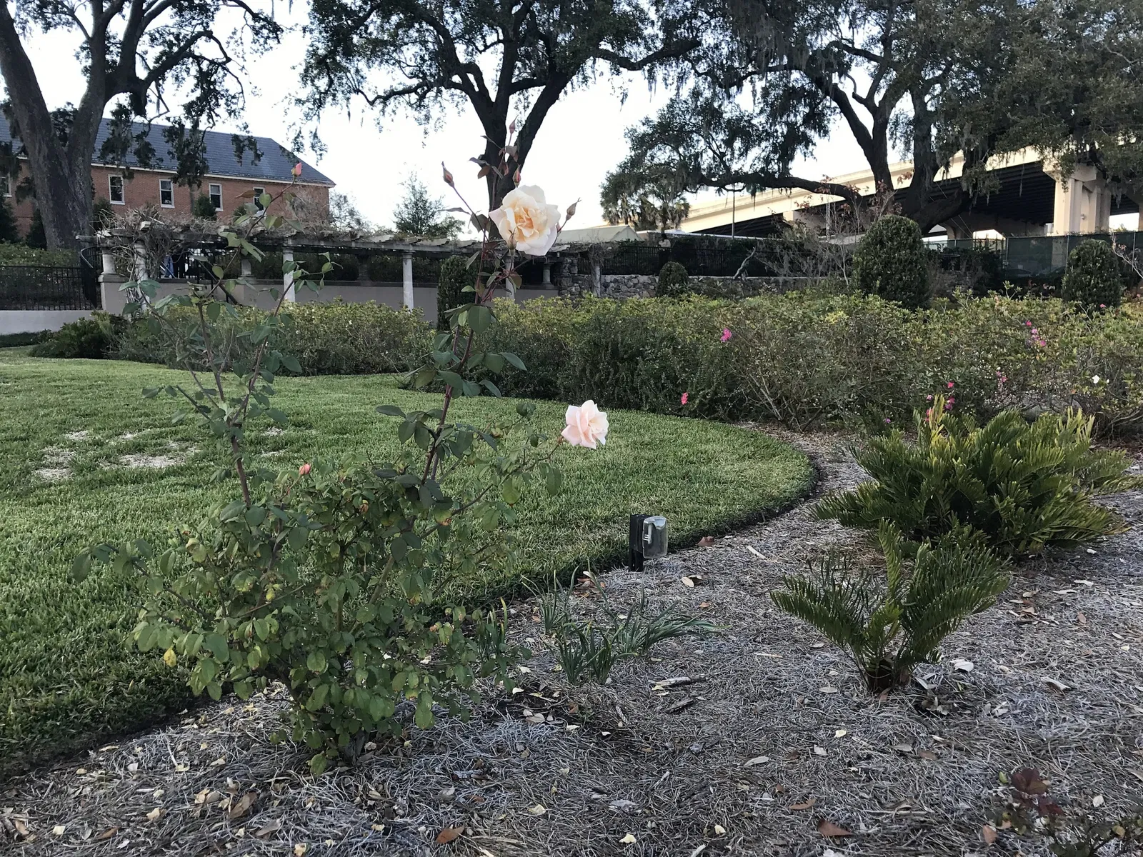 Cummer Museum of Art and Gardens