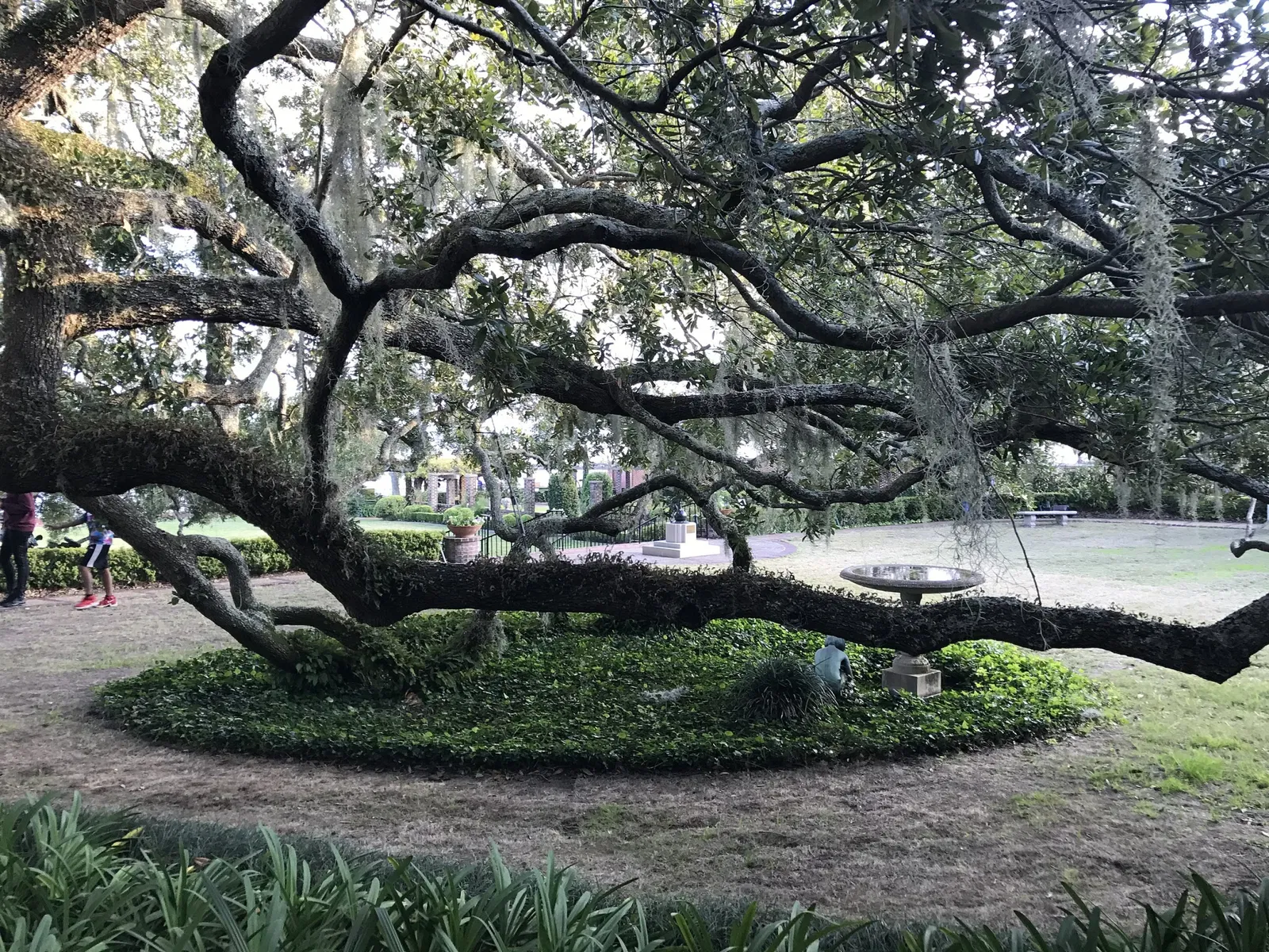 Cummer Museum of Art and Gardens