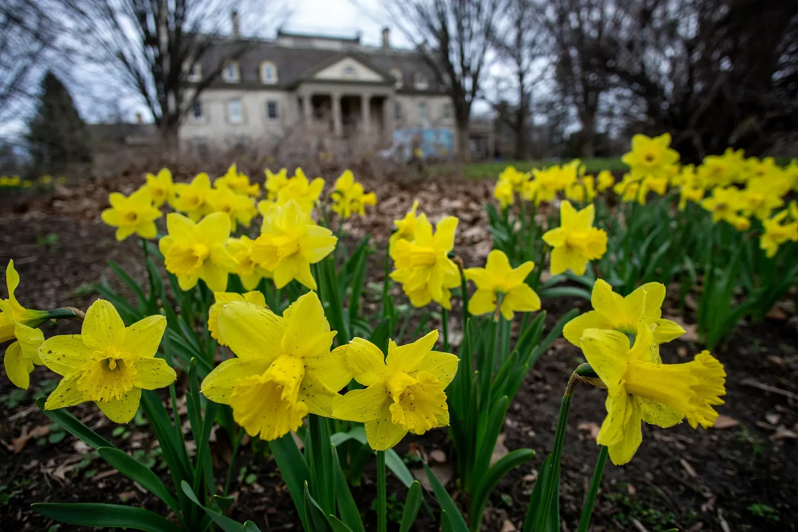 George Eastman House