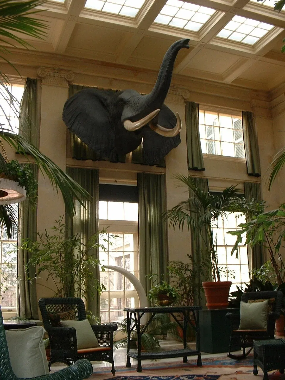 George Eastman House