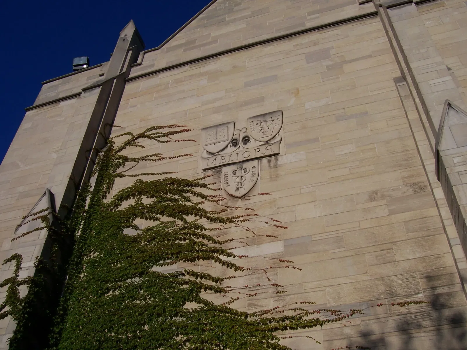 Memorial Art Gallery