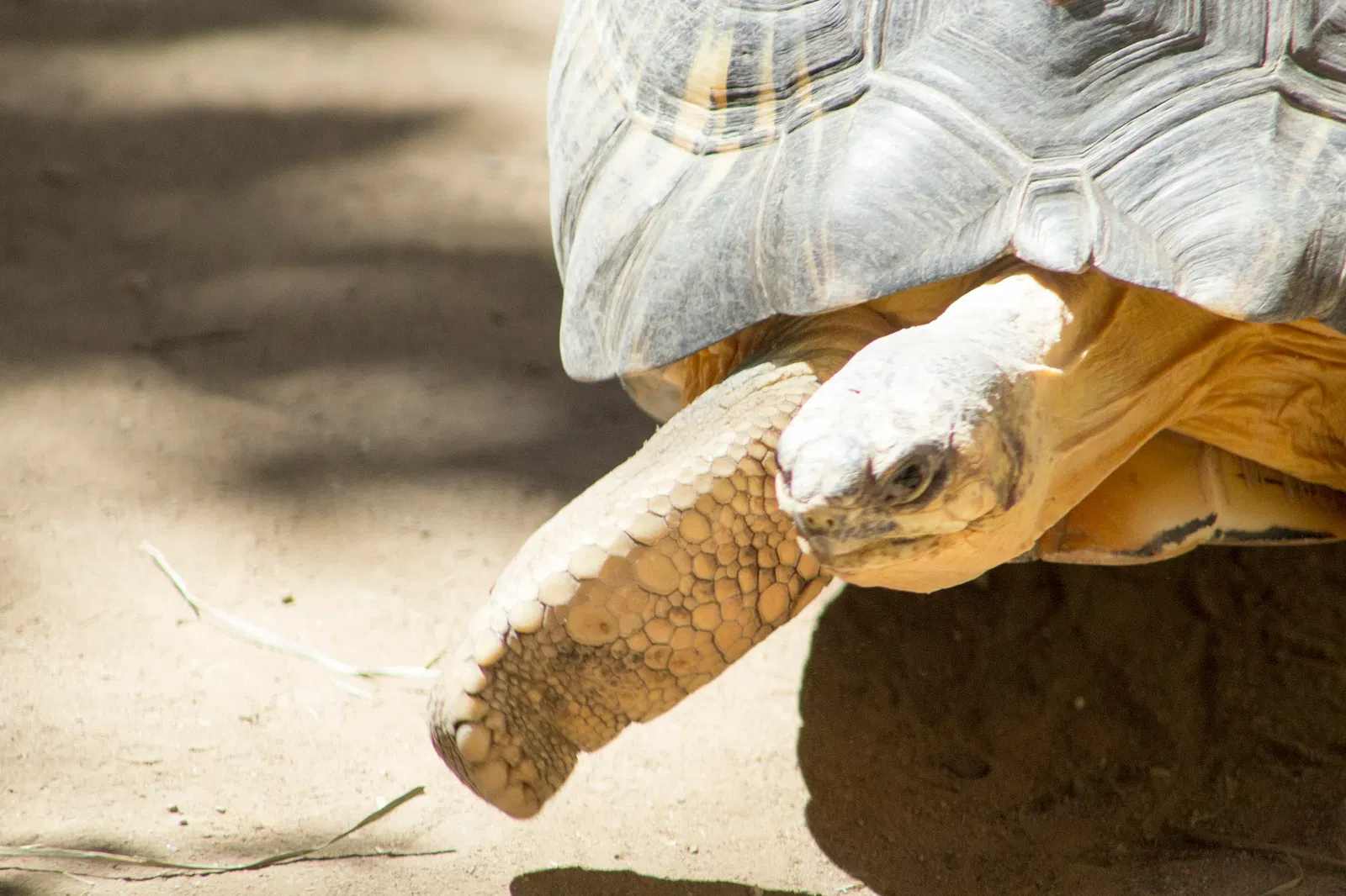 Zoológico de Santa Bárbara