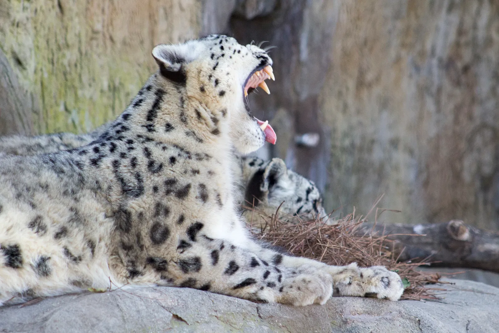 Zoológico de Santa Bárbara