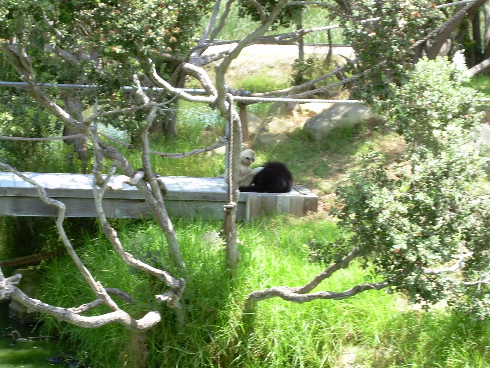 Santa Barbara Zoo