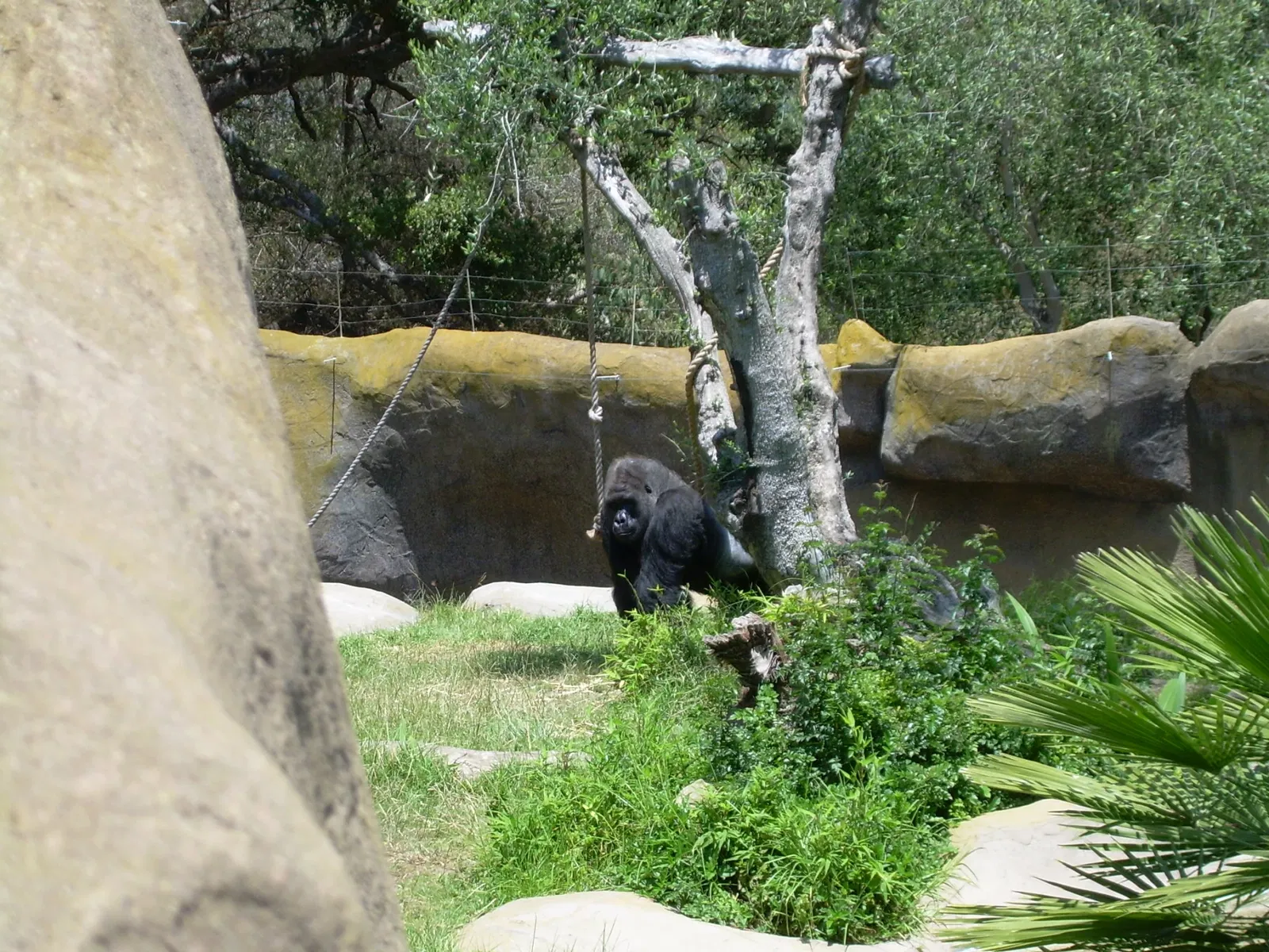 Zoológico de Santa Bárbara
