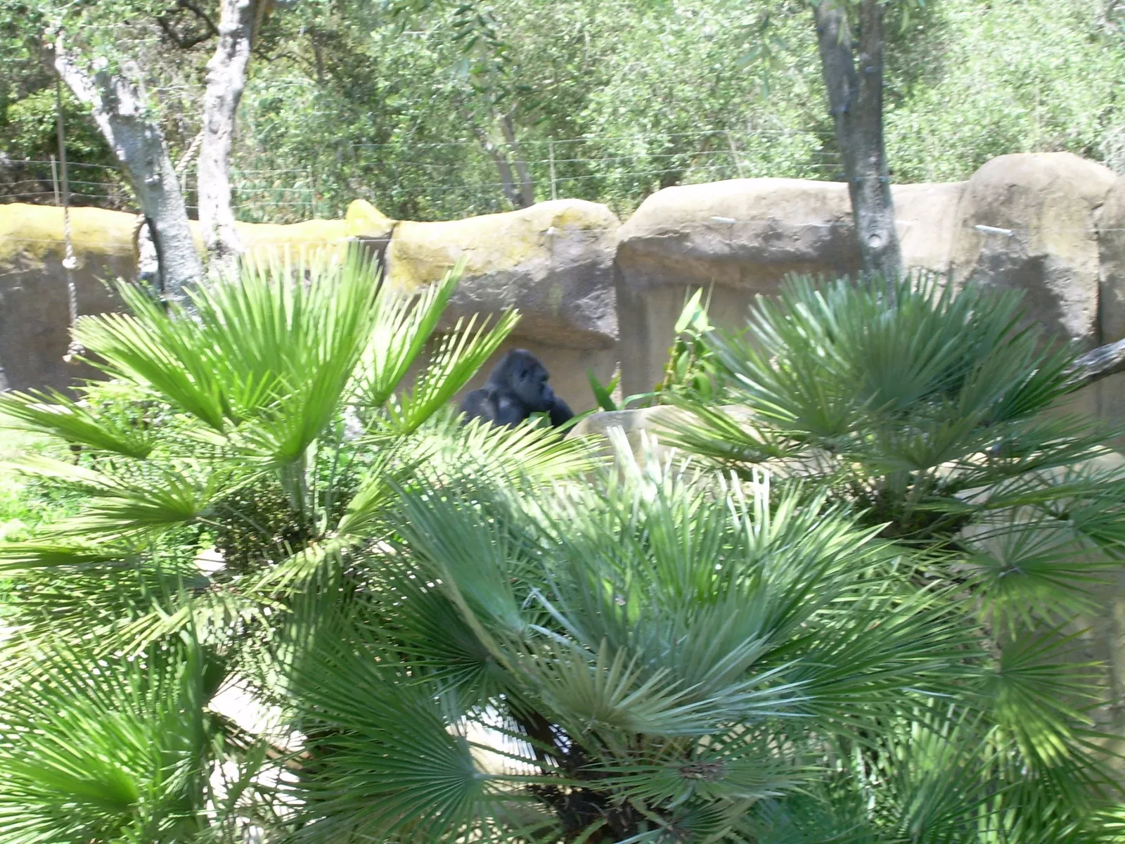 Zoológico de Santa Bárbara