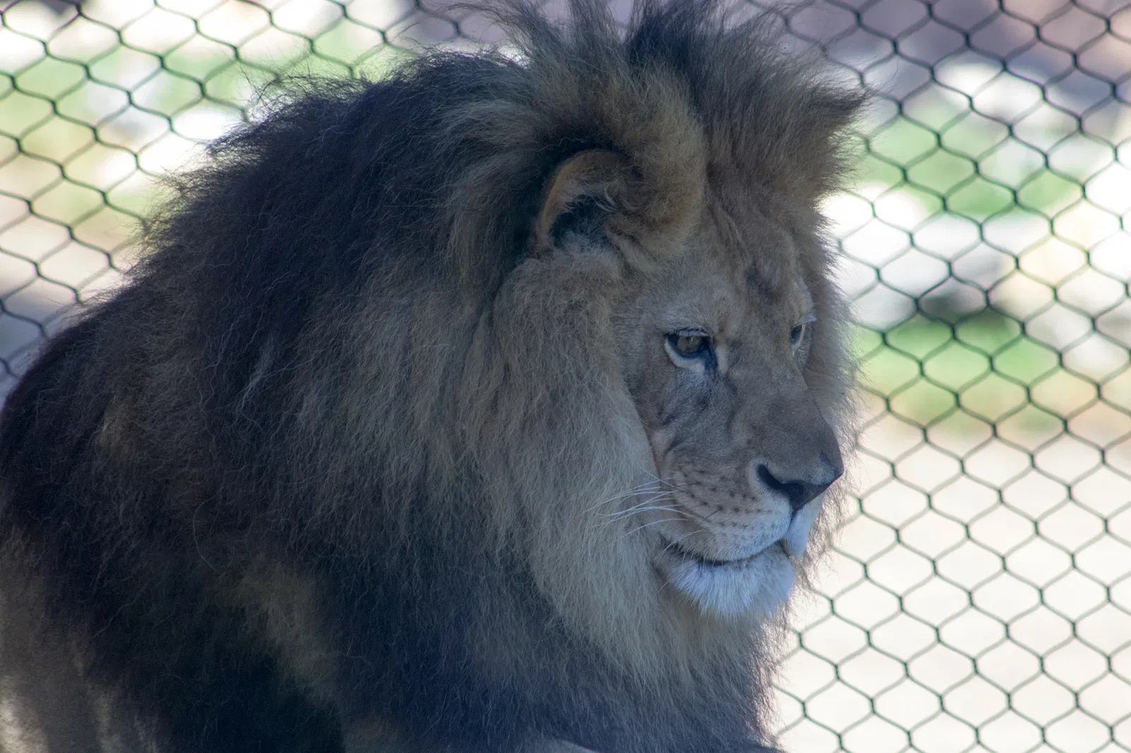 Zoológico de Santa Bárbara