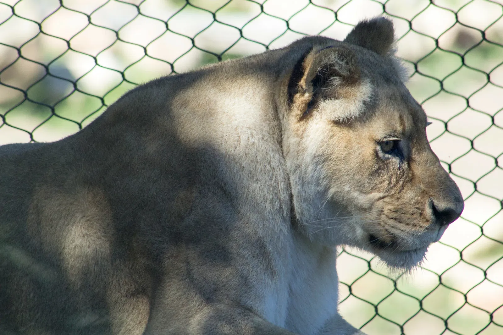 Zoológico de Santa Bárbara