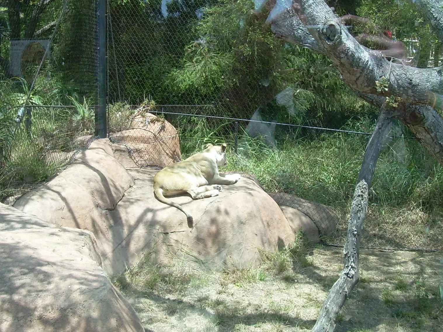 Santa Barbara Zoo