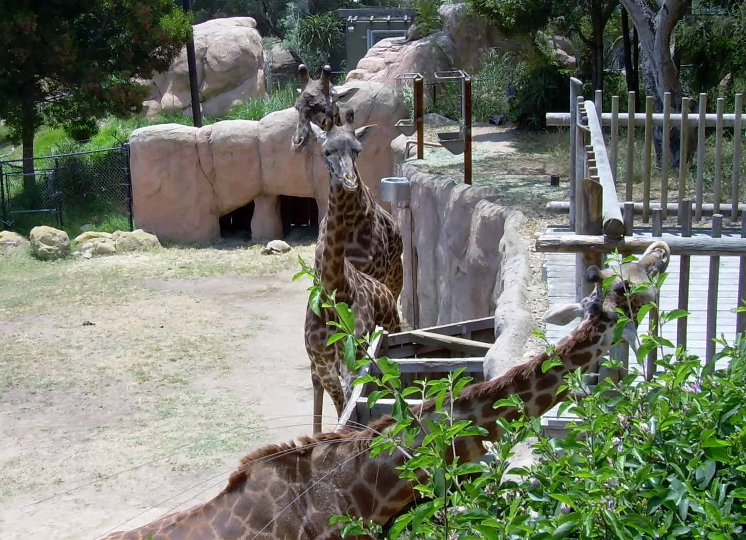 Santa Barbara Zoo