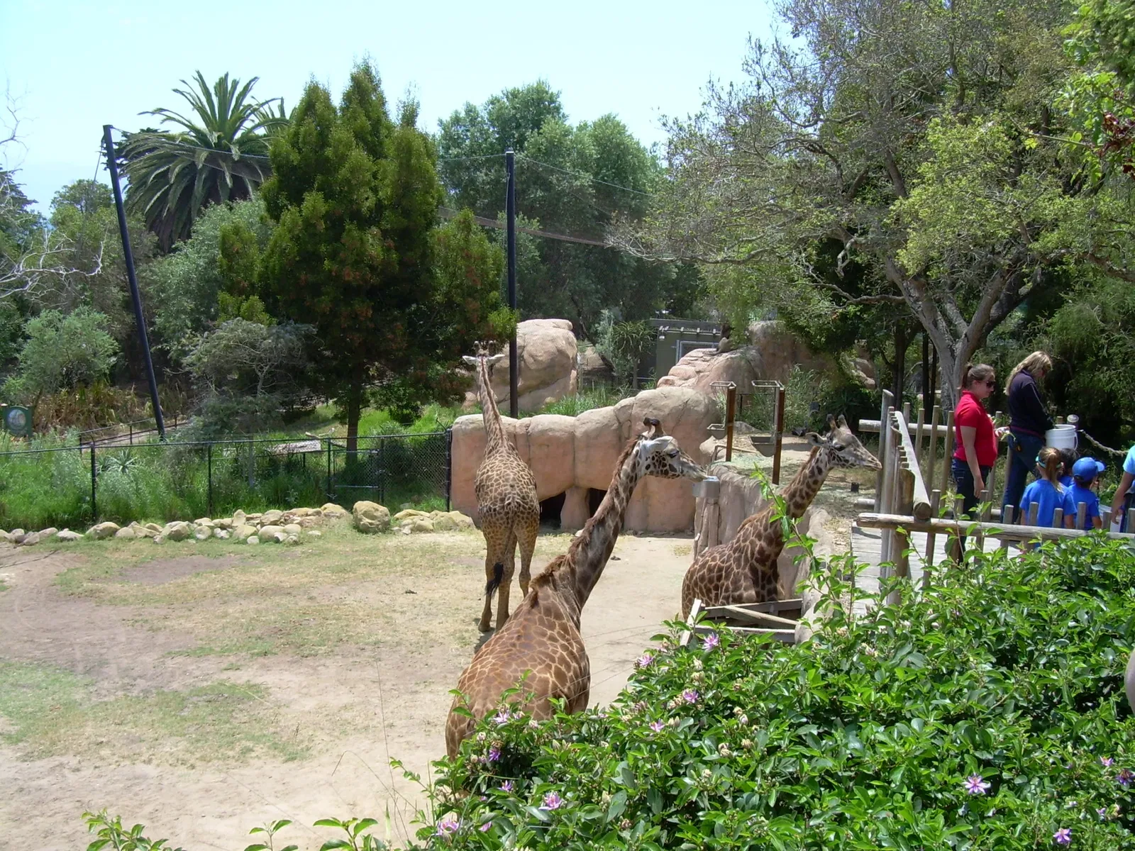 Zoológico de Santa Bárbara