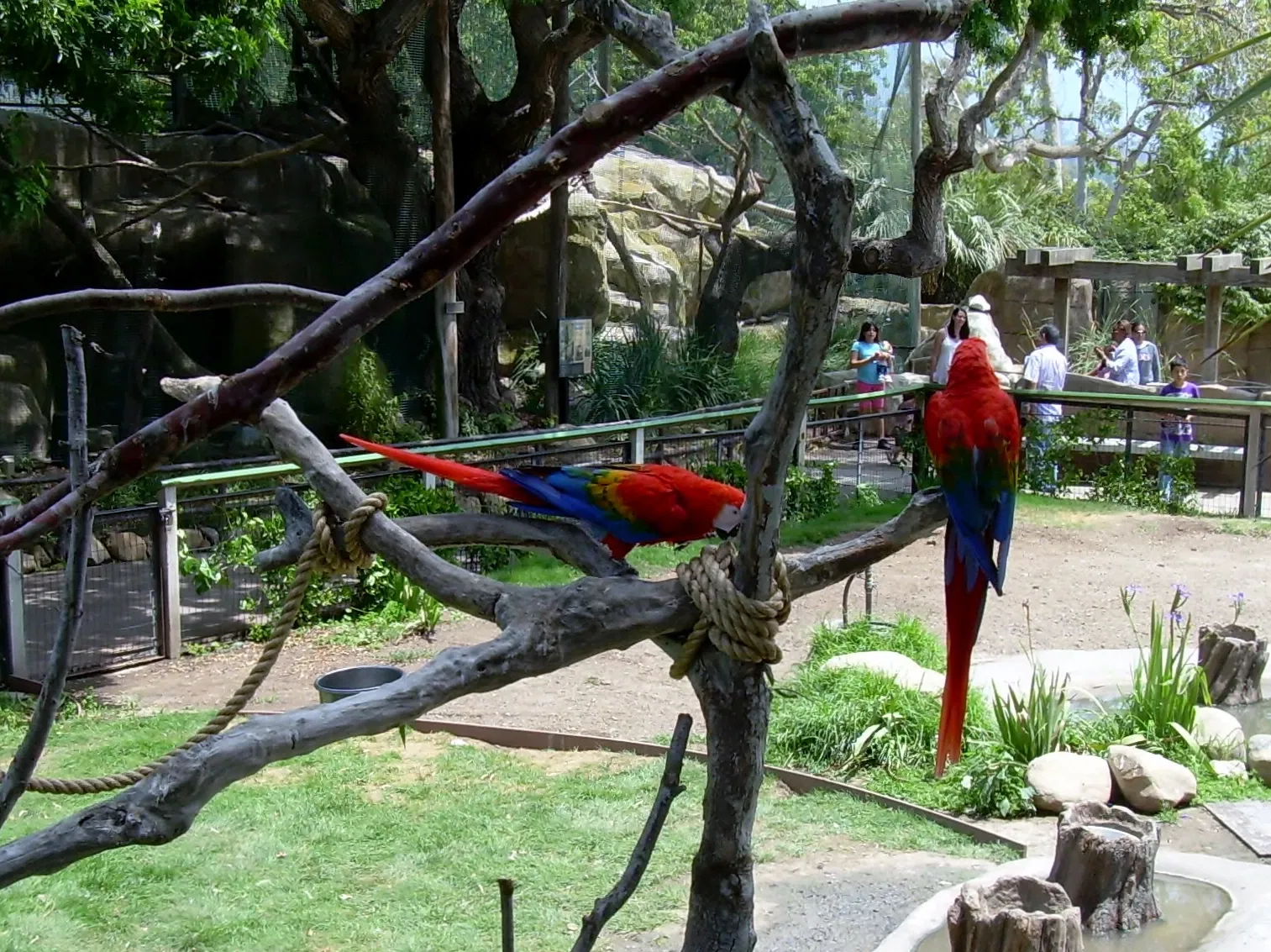 Santa Barbara Zoo