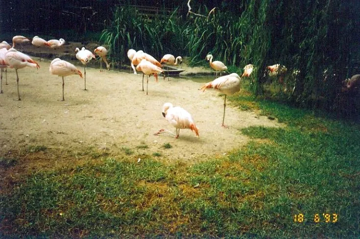 Zoológico de Santa Bárbara