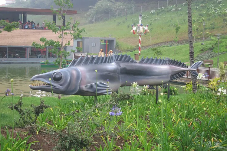 Madeira Theme Park